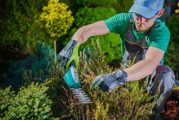 landscaping services Sappington
